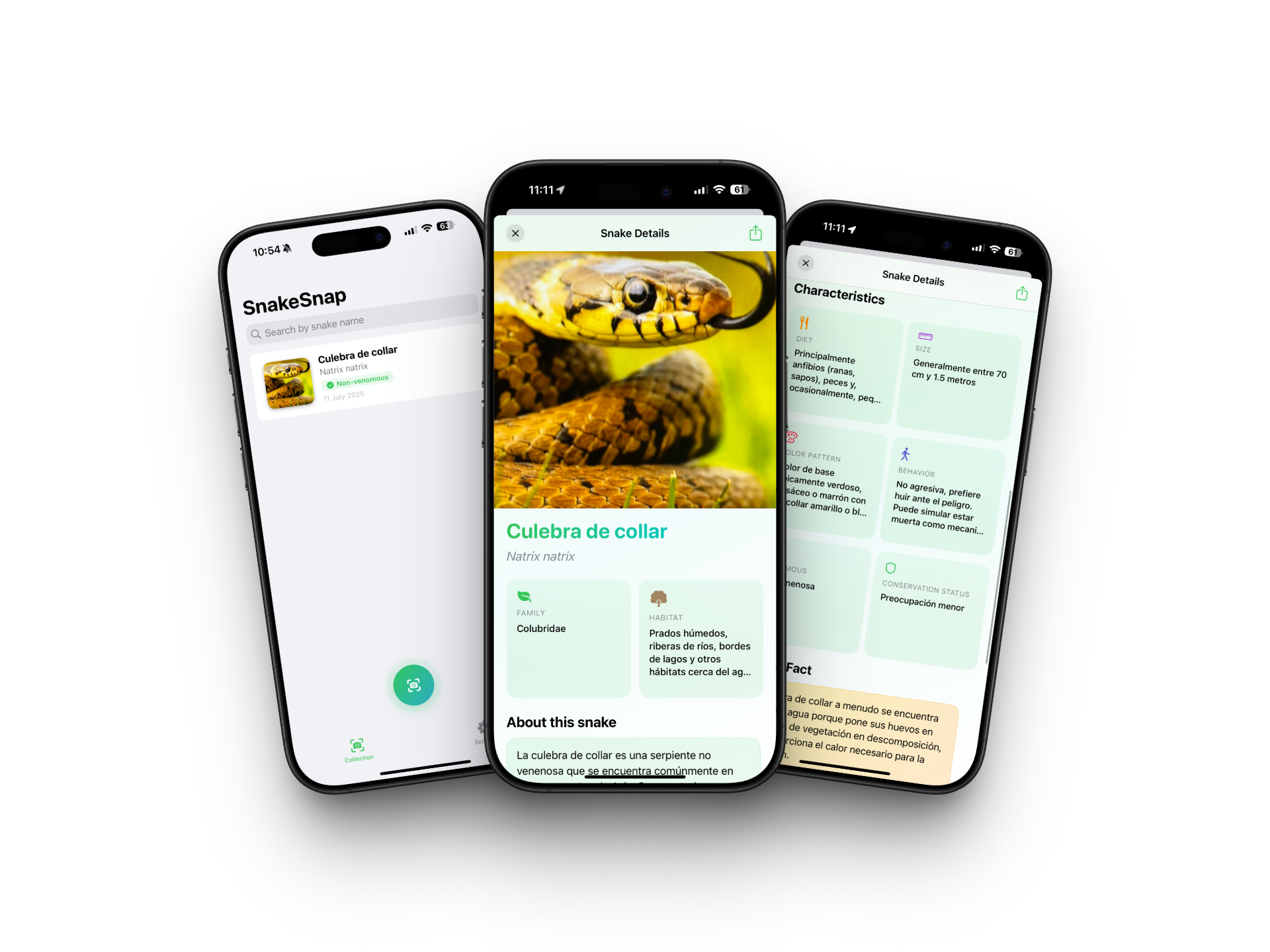 SnakeSnap app interface showing snake identification